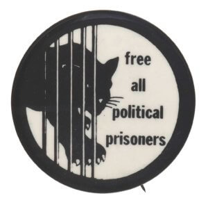 panther behind bars free all political prisoners